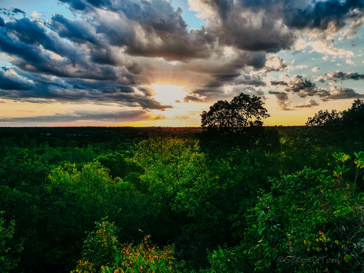 Lodge View
