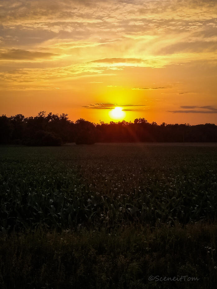 Beautiful Sky