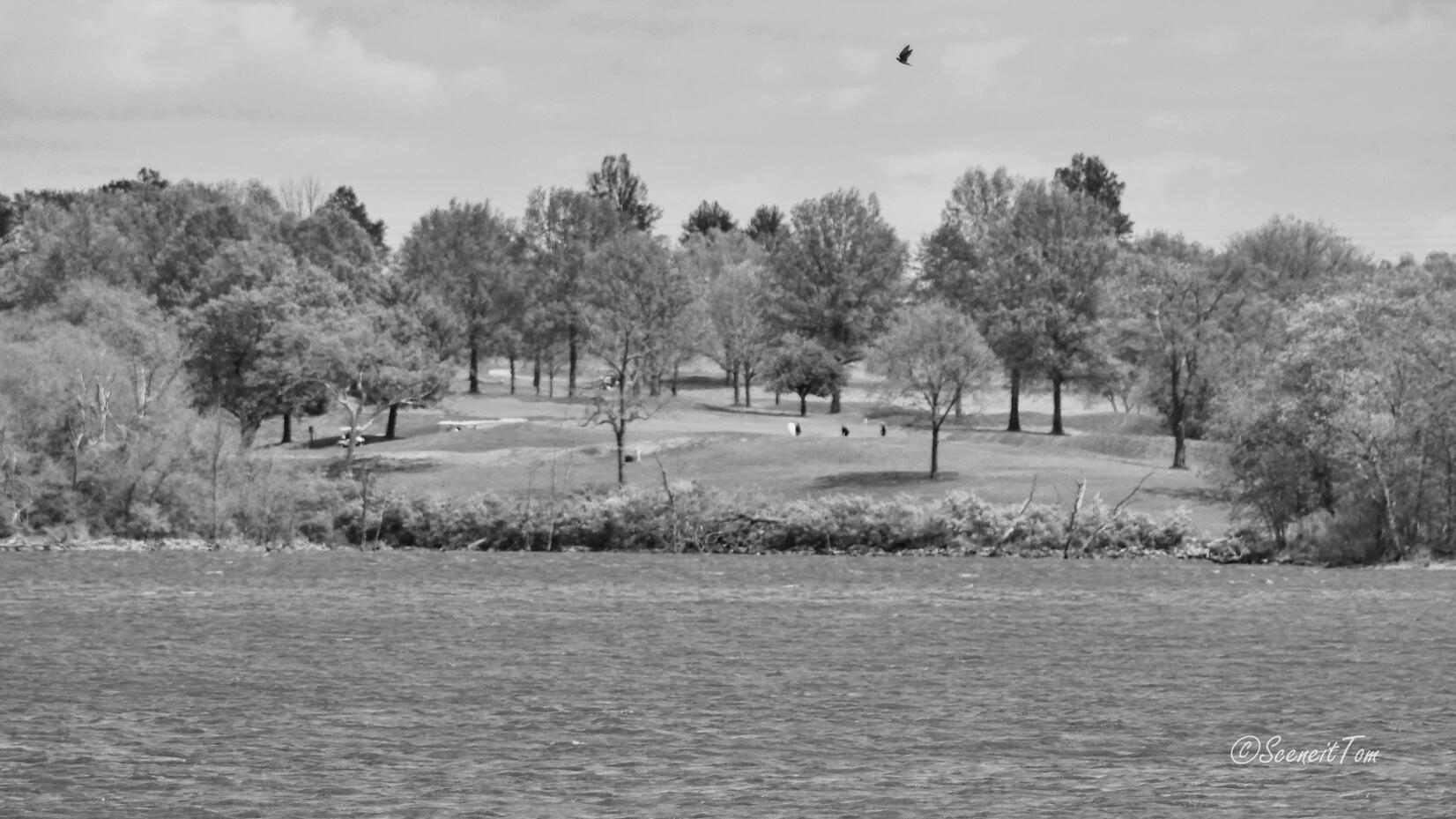 Longview Lake