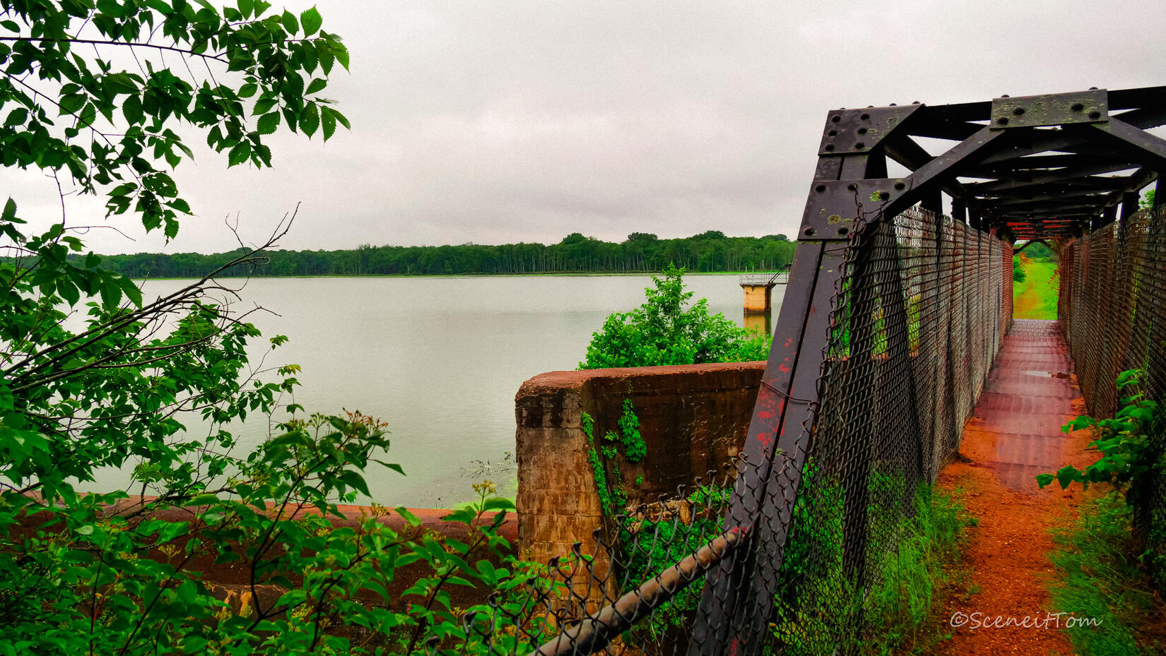 Spring Fork Bridge