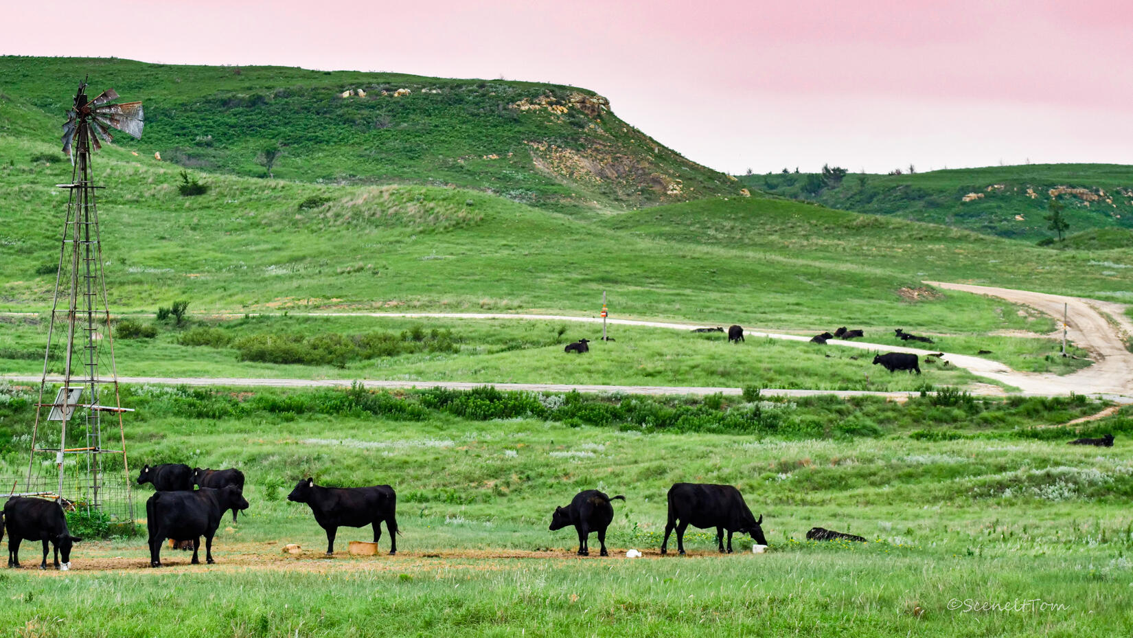 Plainville, KS