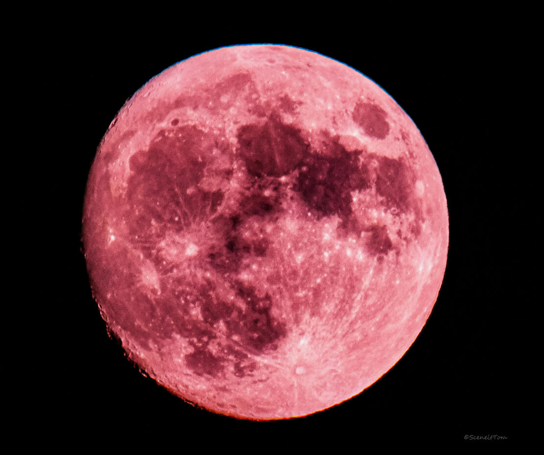 Blood Moon
